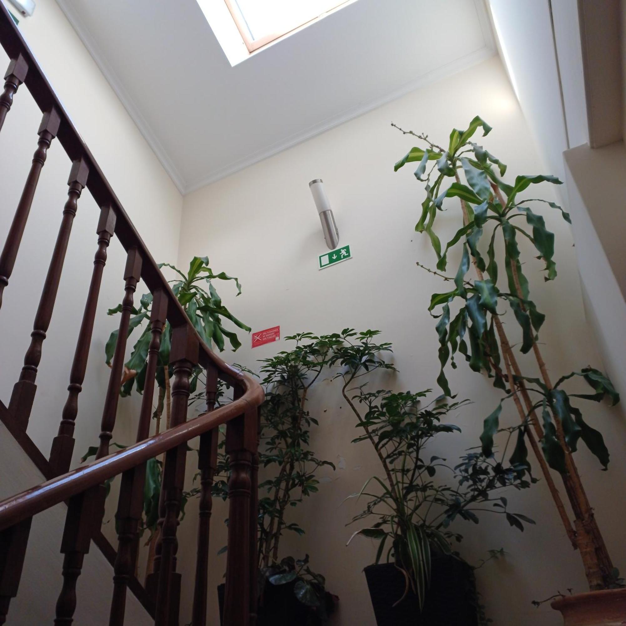 Residencialusobrasileira Hotel Leça da Palmeira Eksteriør billede